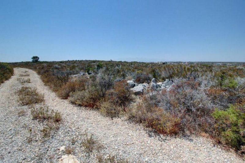 Kalathas Kreta, Kalathas: Grundstück mit herrlichem Blick auf das Meer und die Weißen Berge zu verkaufen Grundstück kaufen